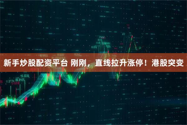新手炒股配资平台 刚刚，直线拉升涨停！港股突变