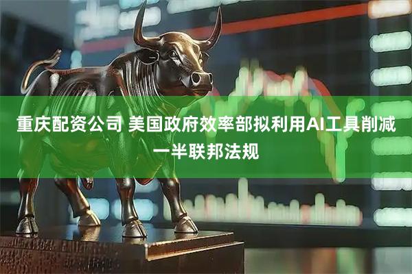 重庆配资公司 美国政府效率部拟利用AI工具削减一半联邦法规